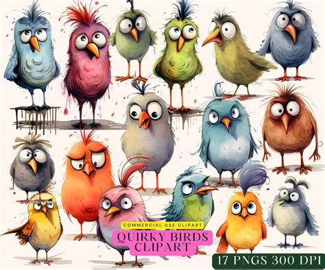 Quirky Birds Clipart, Funny Bird PNG graphics – Aifactory Clipart Store 