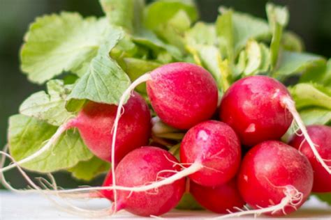 Jangan Dibuang Bagian Buah Dan Sayur Ini Banyak Manfaatnya Lho