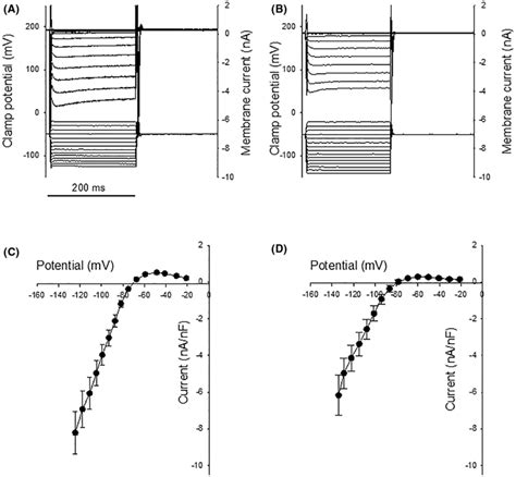 Original Records Of Inward Rectifier Kcurrents IK1 Determined In