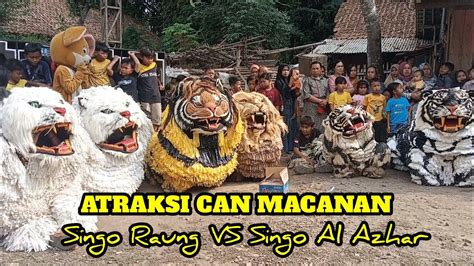 Atraksi Seru Can Macanan Singo Raung Bersama Drumband Al Azhar Live