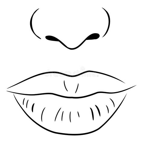 Female Lips With Teeth Stock Vector Illustration Of Isolated 138255176