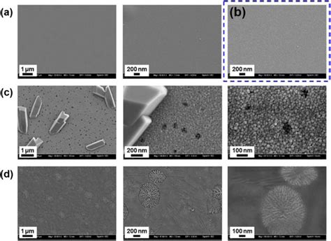 Fesem Plan View Microstructure Images A Room Temperature Deposited Download Scientific