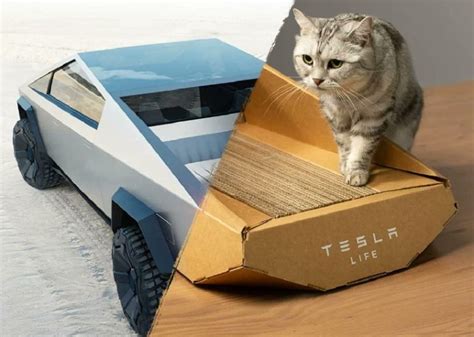 Esta Es La Caja De Arena Para Gato Viral De Tesla Cybertruck