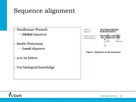 Ppt 2d Shape Recognition Using Biological Sequence Alignment Tools