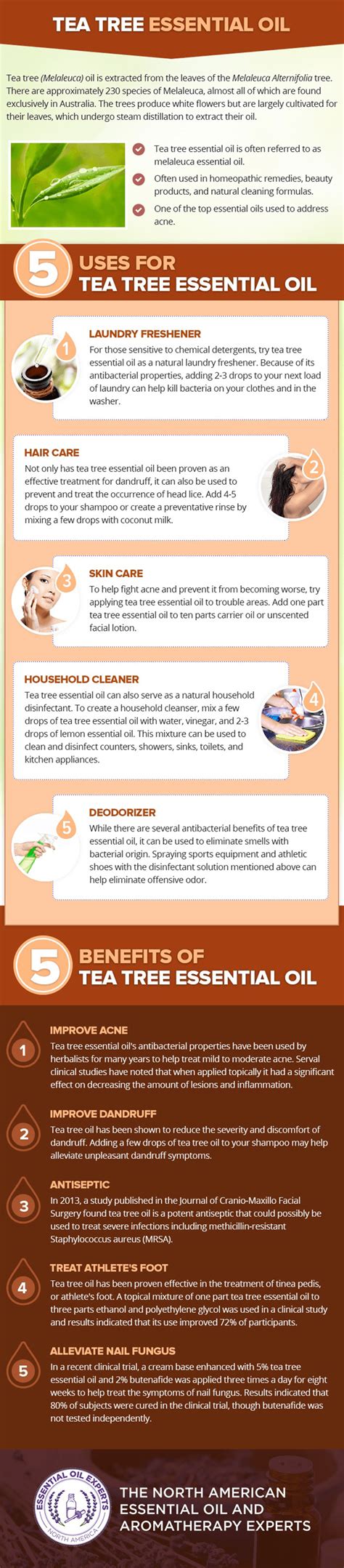 Tea Tree Essential Oil Melaleuca Uses Benefits Where To Buy