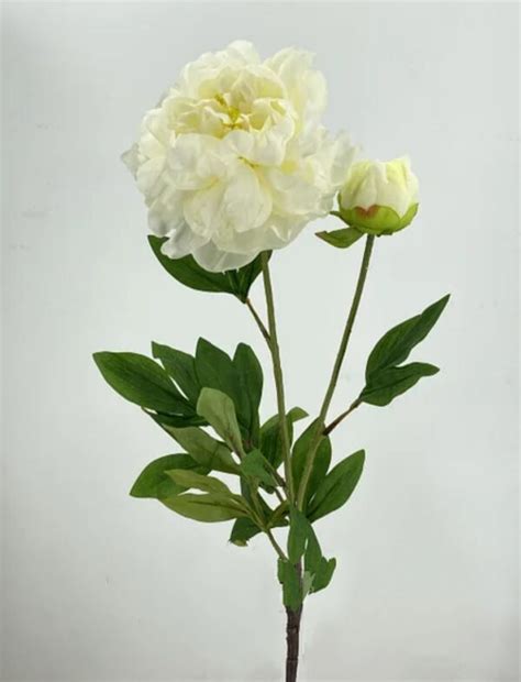 Пион белый/88см – Natural Touch Flowers