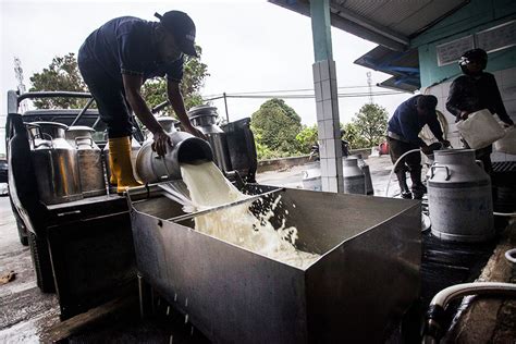 Konsumsi Susu Di Indonesia Rendah