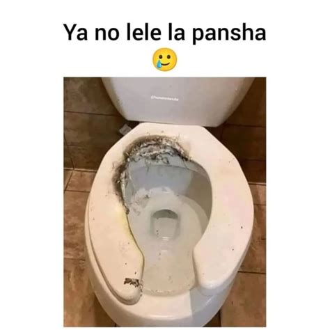 Ya No Lele La Pansha Memes