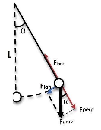 Free Body Diagram Of A Pendulum In Motion Figure Shows A Diagram Of A