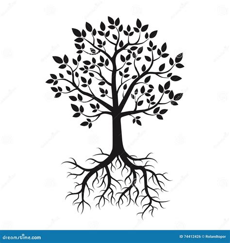 Black Tree And Roots Vector Illustration Stock Illustration