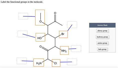 Label The Functional Groups In The Molecule Palma Blog