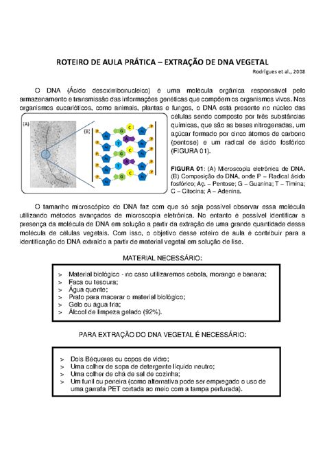 Pibid Roteiro De Aula Pr Tica Extra O De Dna Vegetal Roteiro De