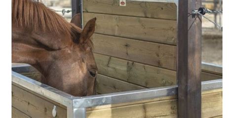 Mejores comederos de forraje para caballos guía y recomendaciones