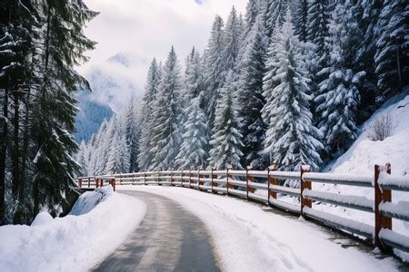 大雪覆盖的森林道路高清图片下载 正版图片600314912 摄图网