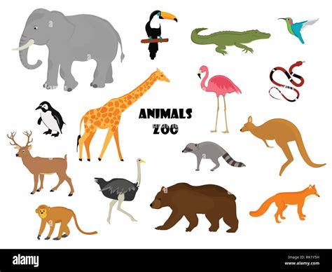 Vector Icon Set Collection Zoo Animals Zoo Stock Vector Image And Art