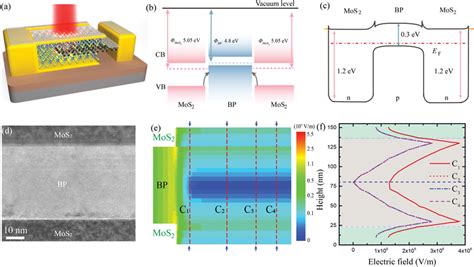 Mpm Vertical Heterostructure Photodetector A Schematic Of The Download Scientific Diagram