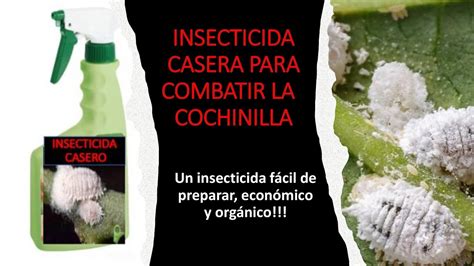 Insecticida Casero Super EFECTIVO para combatir la COCHINILLA fácil