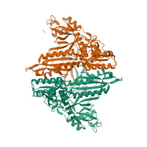 RCSB PDB 6UYH Crystal Structure Of Prolyl TRNA Synthetase From