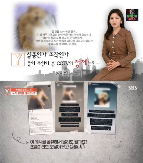 도시가스 검침원 강아지 실종사건 궁금한 이야기 Y 방영되고 뉴스도 뜨고 피드 피드팩토리