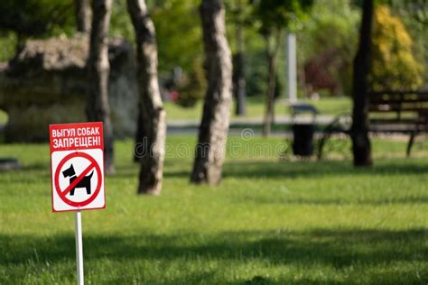 Cartello Che Vieta Ai Cani Di Passeggiare In Un Parco Di Non Camminare