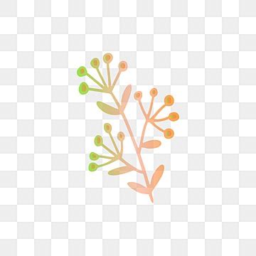 Floral Branch Vector Hd Png Images Floral Vector Branch Design Branch