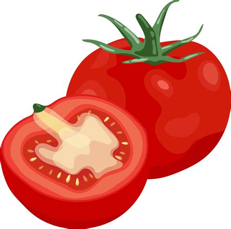 Tomato Illustration Element 19782520 PNG