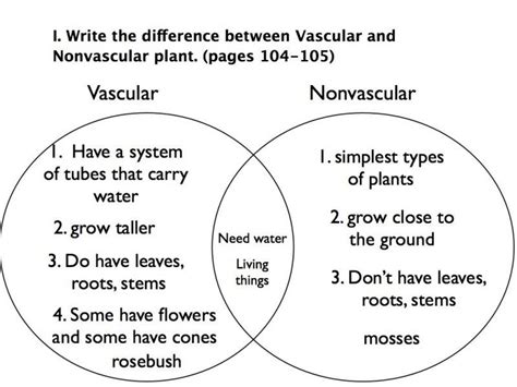 Flowering Plants Vs Conifers Venn Diagram Venn Diagram Of Th