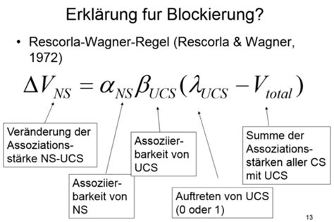 Kognition Karteikarten Quizlet