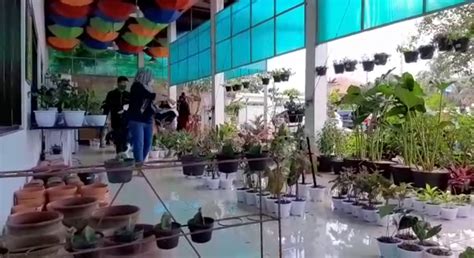 Botani Mart Binaan Ipb Jadi Primadona Pasar Tanaman Hias Dan Buah