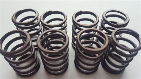 Valve Spring Set For Vag V Tdi Pd Hydro