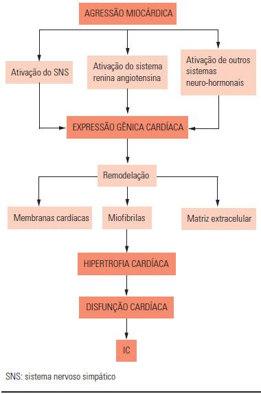 RMMG Revista Médica de Minas Gerais Insuficiência cardíaca na era