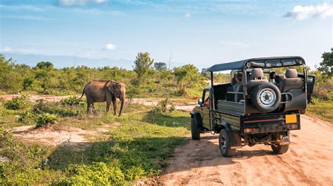 Voyage Safari Les Types De Safaris En Afrique Du Sud