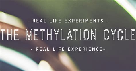 The Methylation Cycle: How I'm optimizing my body from the genes up ...