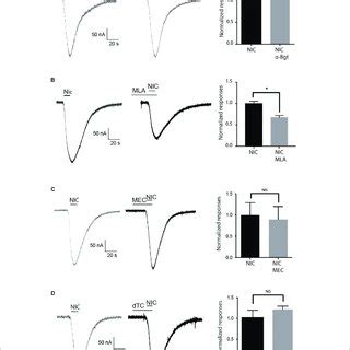 Effect Of Nachr Antagonists On Nicotine Evoked Currents A Min