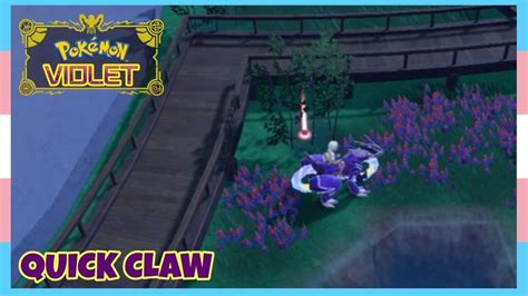 Where To Find Quick Claw In Pokemon Scarlet Violet Location Quick