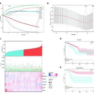 Construction And Validation Of An ICD Risk Model A B Lasso Cox