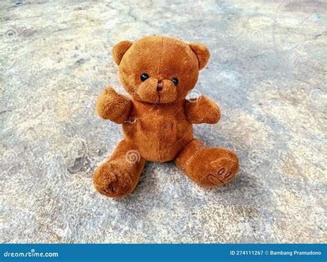 Cierre De Oso De Peluche Lindo Sentado En El Suelo De Cemento Textil