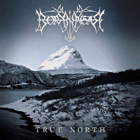 Borknagar Presenta Su Nuevo Single The Fire That Burns Algo De Rock