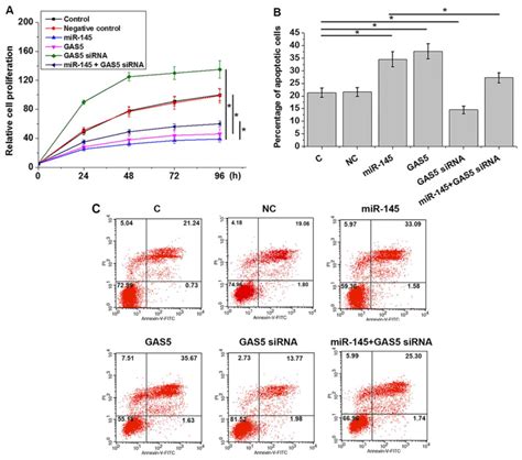 Microrna Inhibits Proliferation And Induces Apoptosis In Human