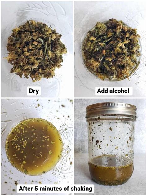 How To Make A Cannabis Tincture Easy Cold Alcohol Extraction