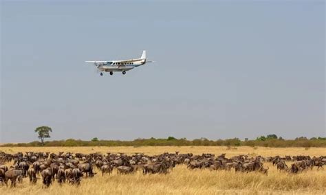 Masai Mara Flight Packages And Mombasa Flight Packages