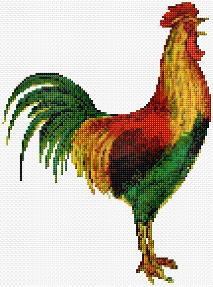 Rooster Cross Stitch Designs