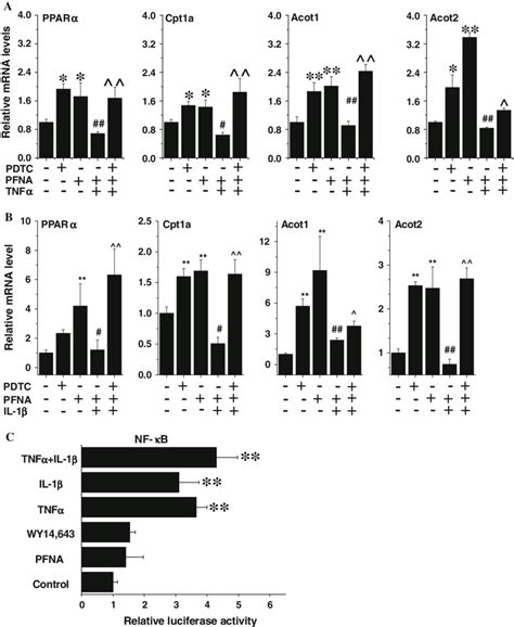 Tnfa And Il B Inhibit The Expression Of Ppara And Its Target Genes By