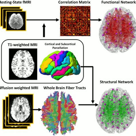 A Schematic Diagram Of The Functional And Structural Network Analysis