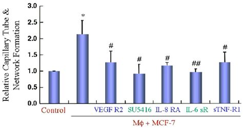 Tnf α Il 6 And Il 8 Involved Download Scientific Diagram