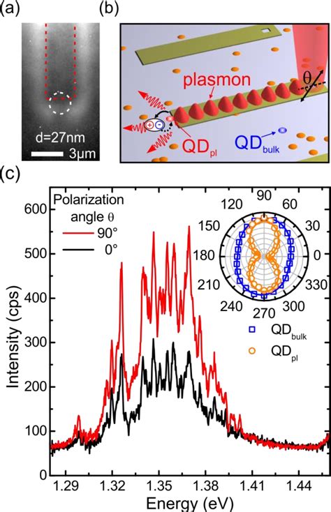 Figure From Imaging Surface Plasmon Polaritons Using Proximal Self