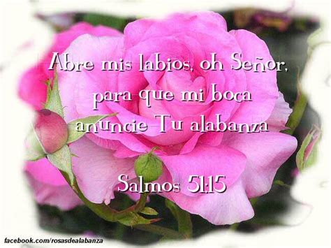 Salmo Versosbiblicos Biblia Plants Flowers Psalms Verses Hot Sex Picture