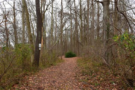 The Island Walkabout Sweetbriar Nature Center