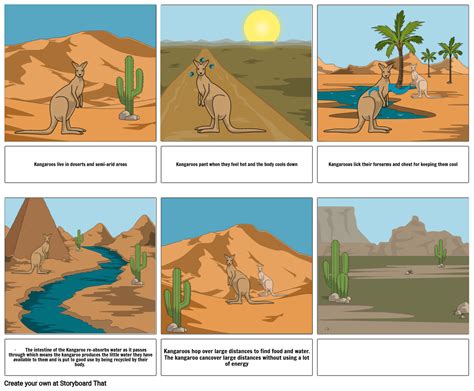 KANGAROO ADAPTATION Storyboard By 09609a6a