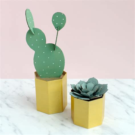 Diy Cardboard Cactus And Succulent Pots Sarah Louise Matthews